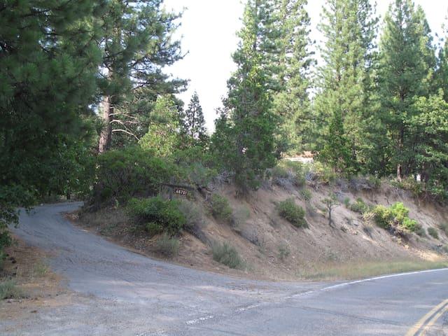 Feather Oaks: Quiet house in the forest2