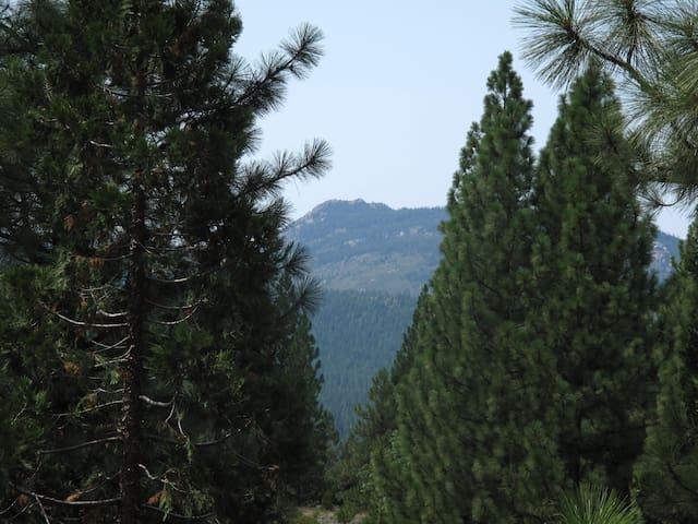 Feather Oaks: Quiet house in the forest5