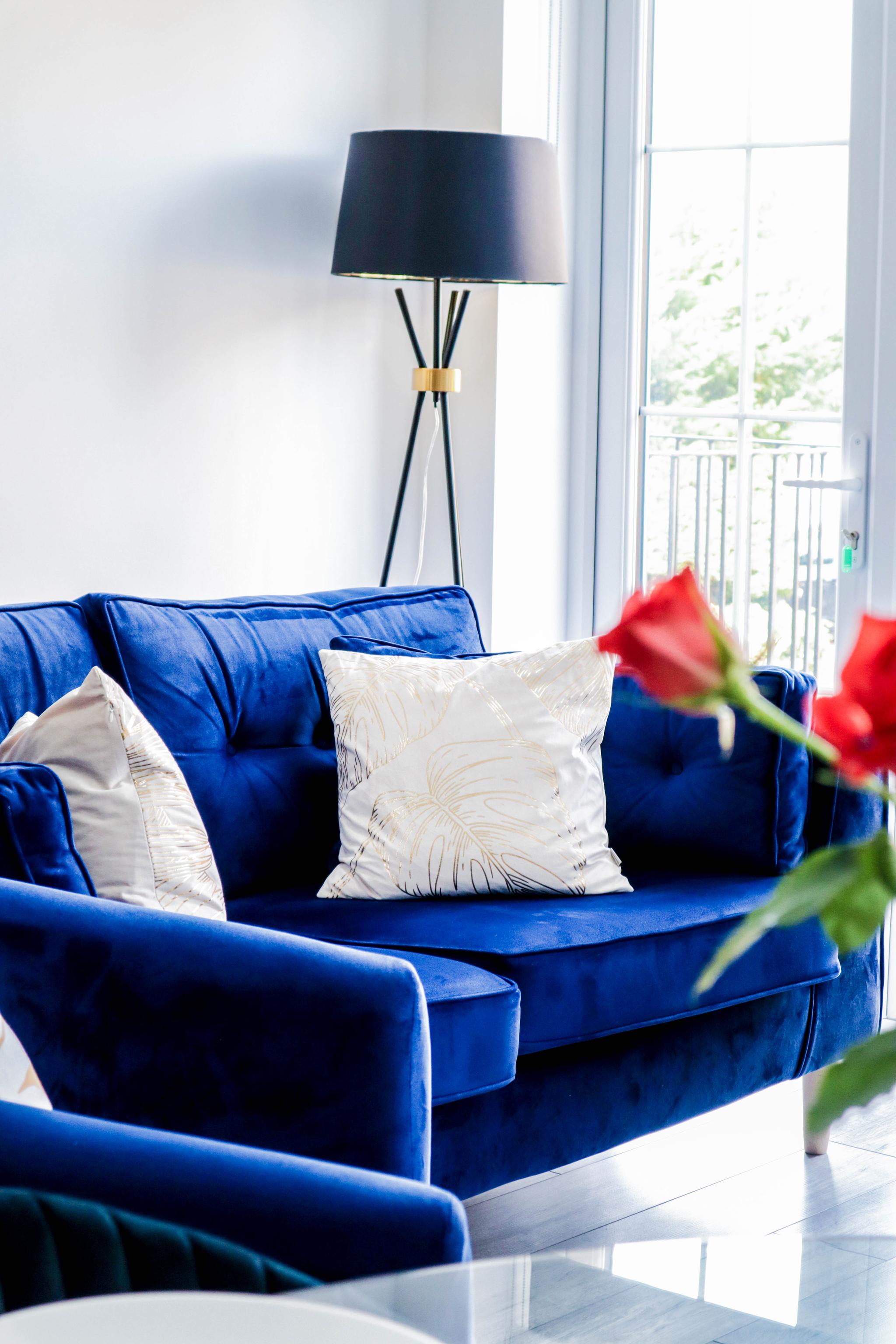 Luxurious Apartments5