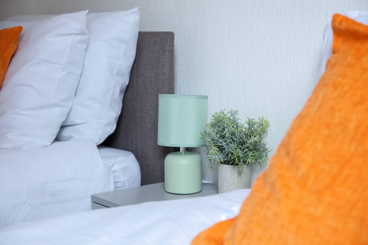 Luxurious and Roomy 2-BD Apartment: Free Parking6