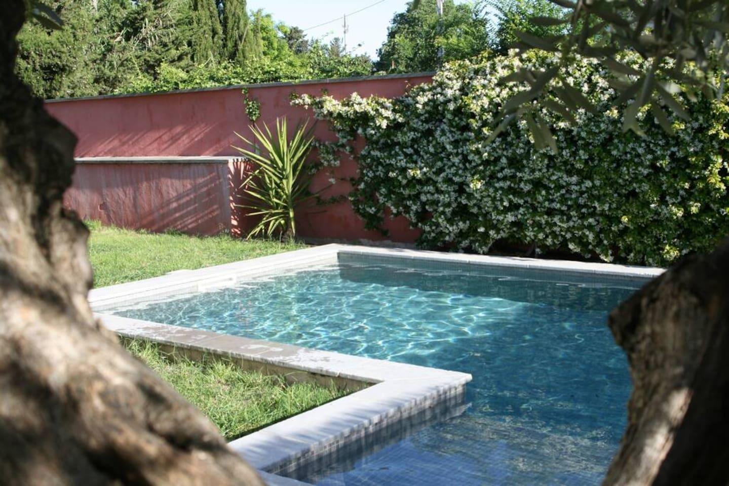 Stunning Villa with Vineyard View in Montpellier1