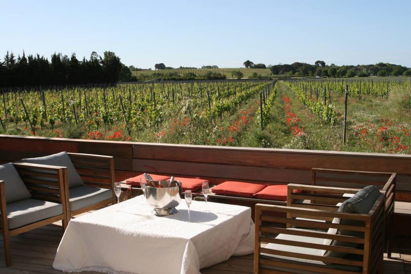 Stunning Villa with Vineyard View in Montpellier6