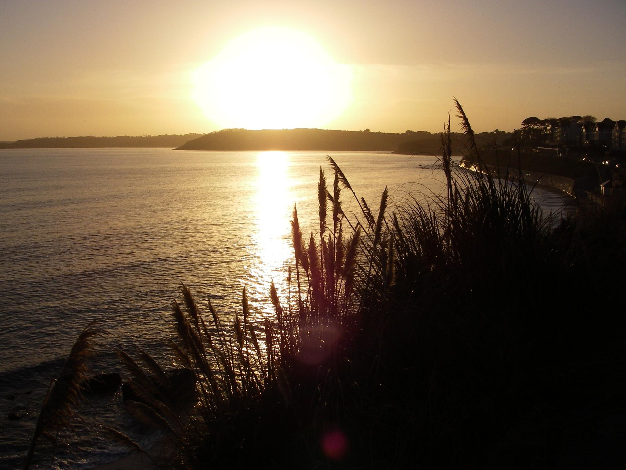 header-image