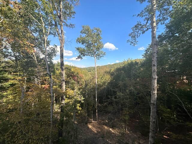NEW Luxe Cabin w/ 4 Fireplaces, Sonos, EV charger6