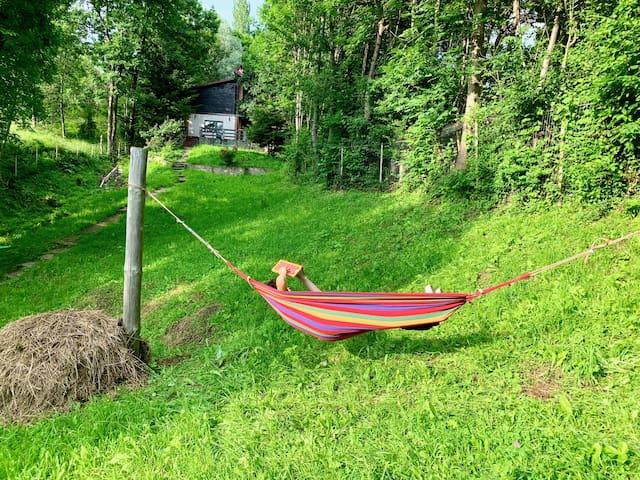 Mountain Family Chalet2