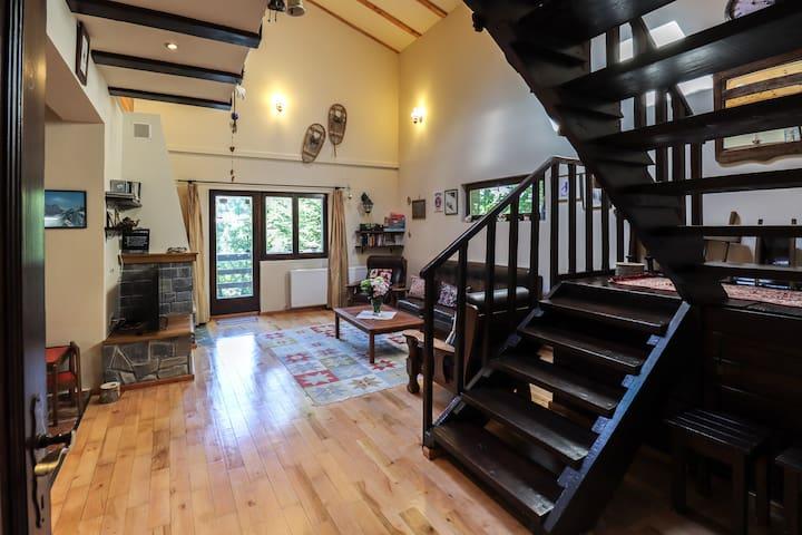 Mountain Family Chalet3