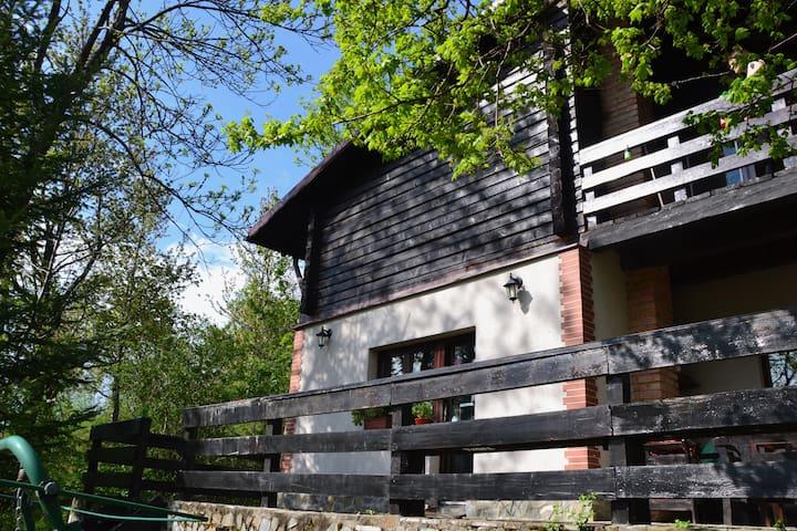 Mountain Family Chalet6